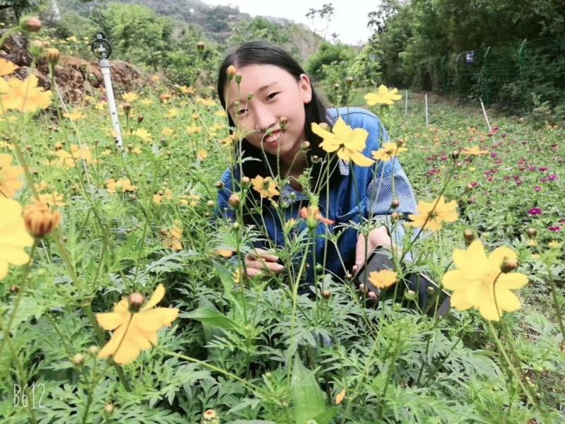 哈哈的第一张照片--诏安交友网