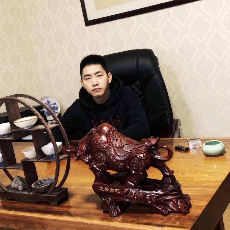 平淡的鸽子的第四张照片--诏安交友网