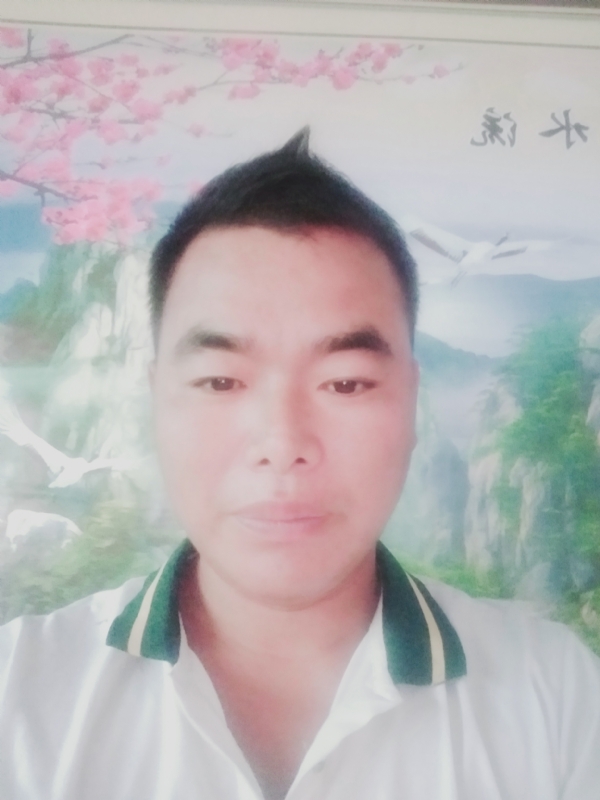 阳光男孩的第二张照片--诏安交友网